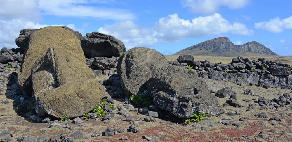 Tuf, z něhož jsou sochy moai na Rano Raraku, má různě sytý žlutý odstín.