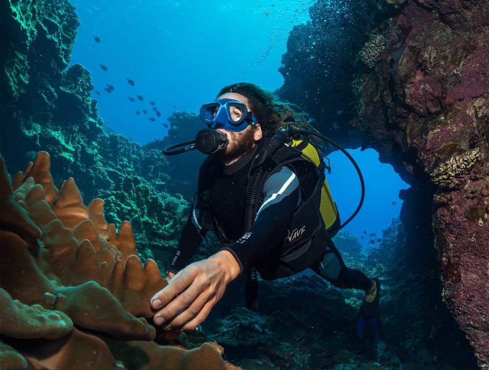 ค้นพบโลกใบใหม่ในน่านน้ำเกาะอีสเตอร์ © Atariki Diving Center
