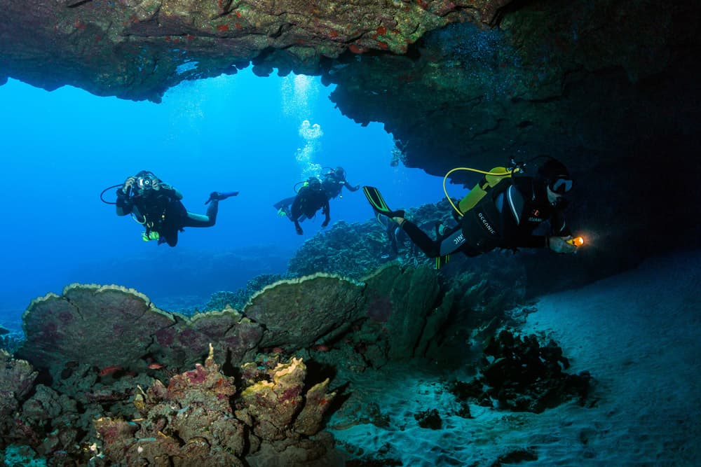 ดำน้ำลึกในถ้ำใต้น้ำพร้อมไฟฉาย © Atariki Diving Center